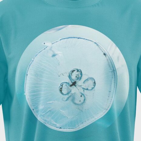 t-shirt-02-01 t-shirt-02-01