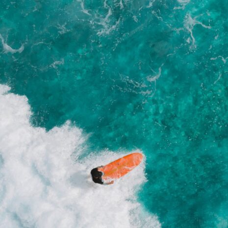 surfer-guy-1d-min surfer-guy-1d-min