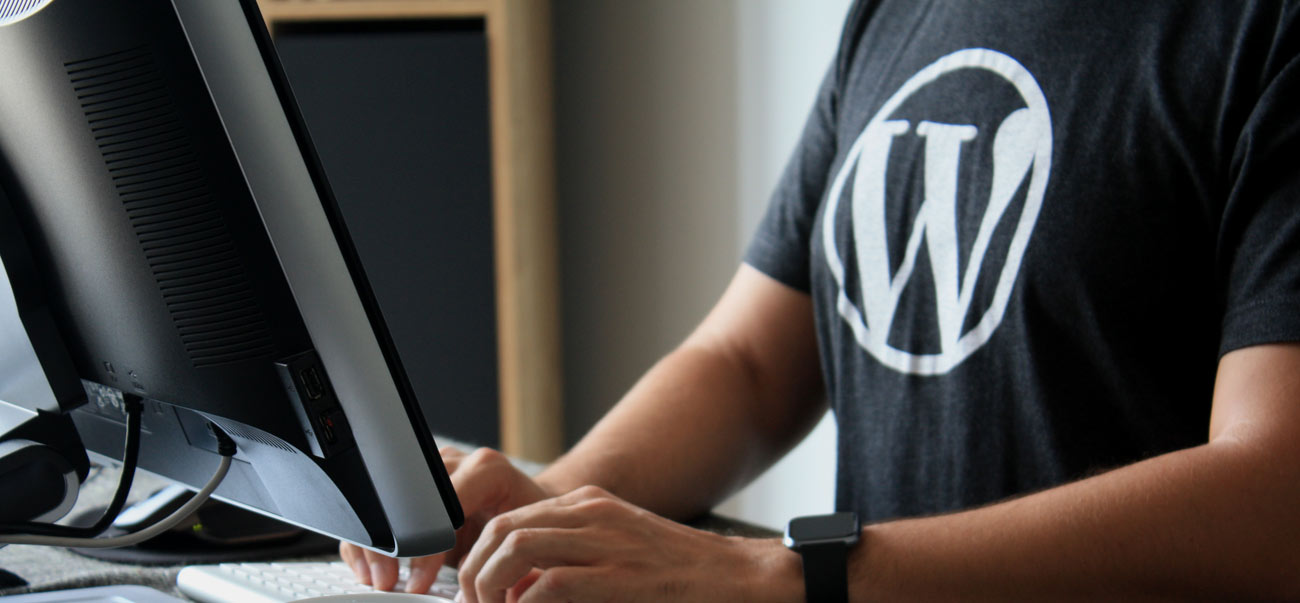 WordPress Web Designer