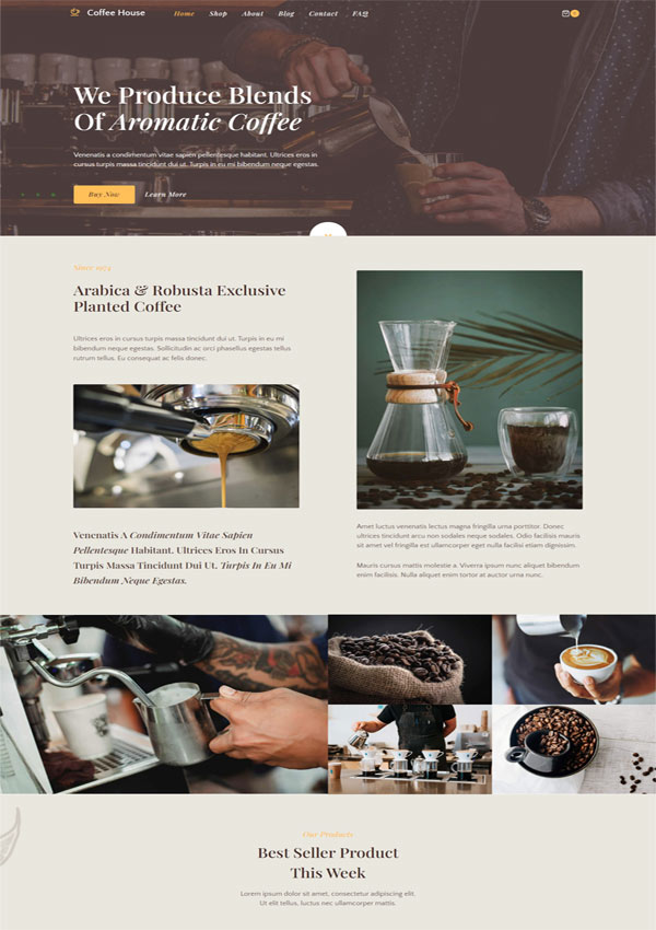 WordPress Web Design