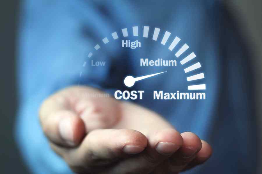 The Cost of SEO